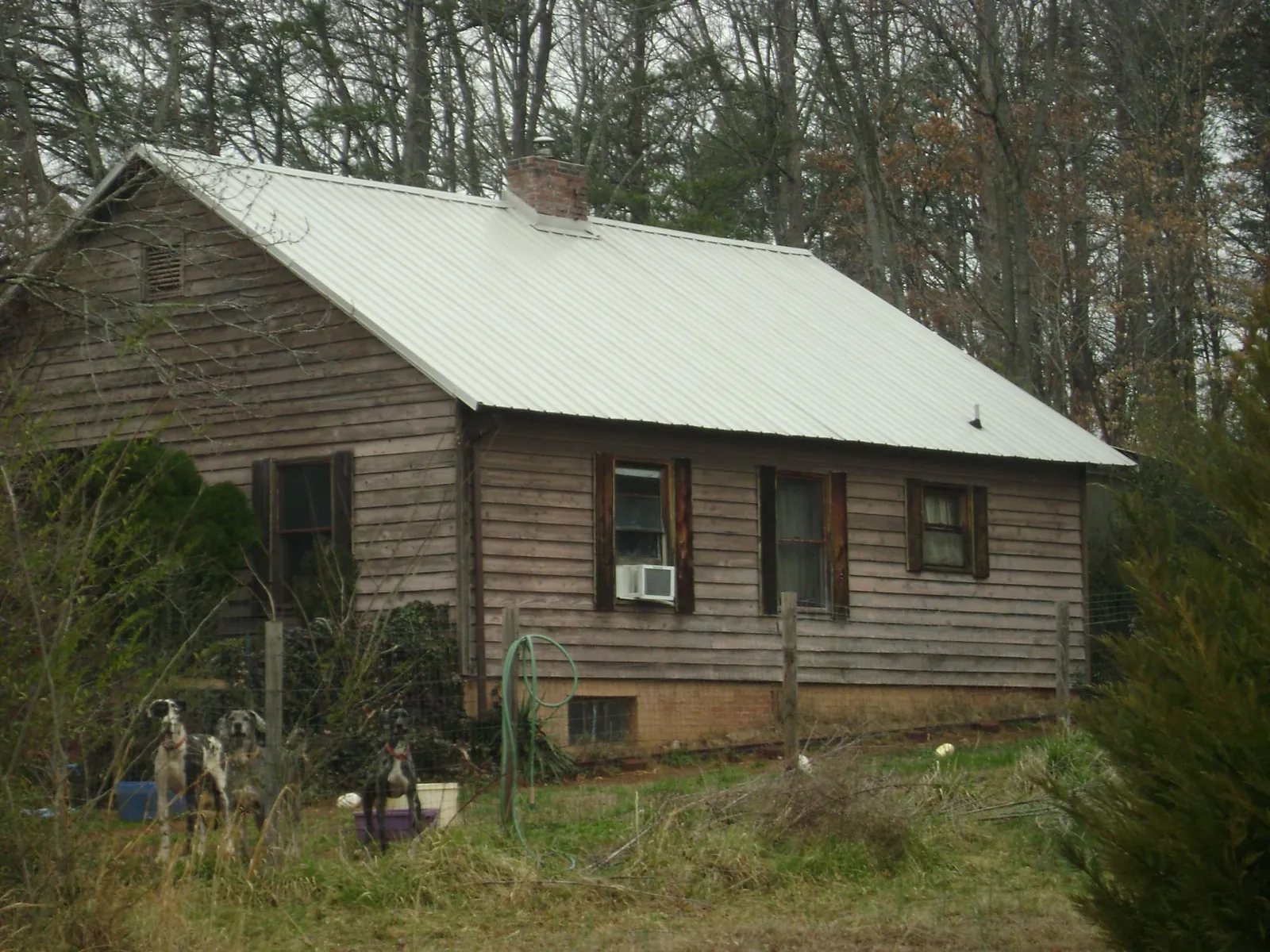 White metal roof on an old wood sided farmhouse, from a Asphalt Shingle Roof Repair job in East Bend